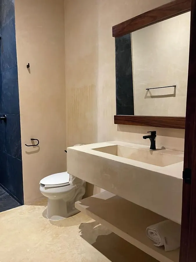 公寓 La Veleta Luxury Condos 图卢姆
